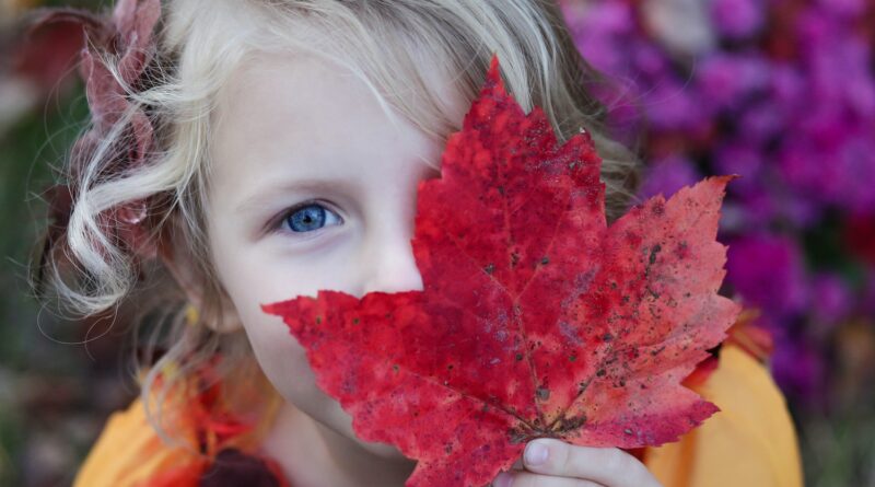 girl holding red maple leaf